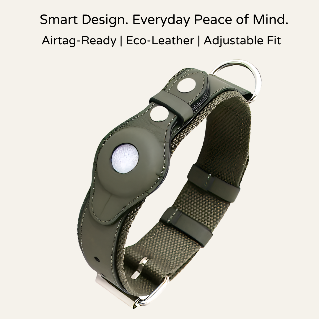 Tracker Lux Eco Leather AirTag Collar
