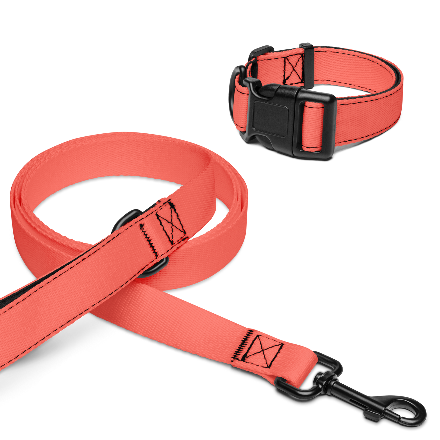 Out & About Trio - Collar + Leash, Tee & Bandana Bundle