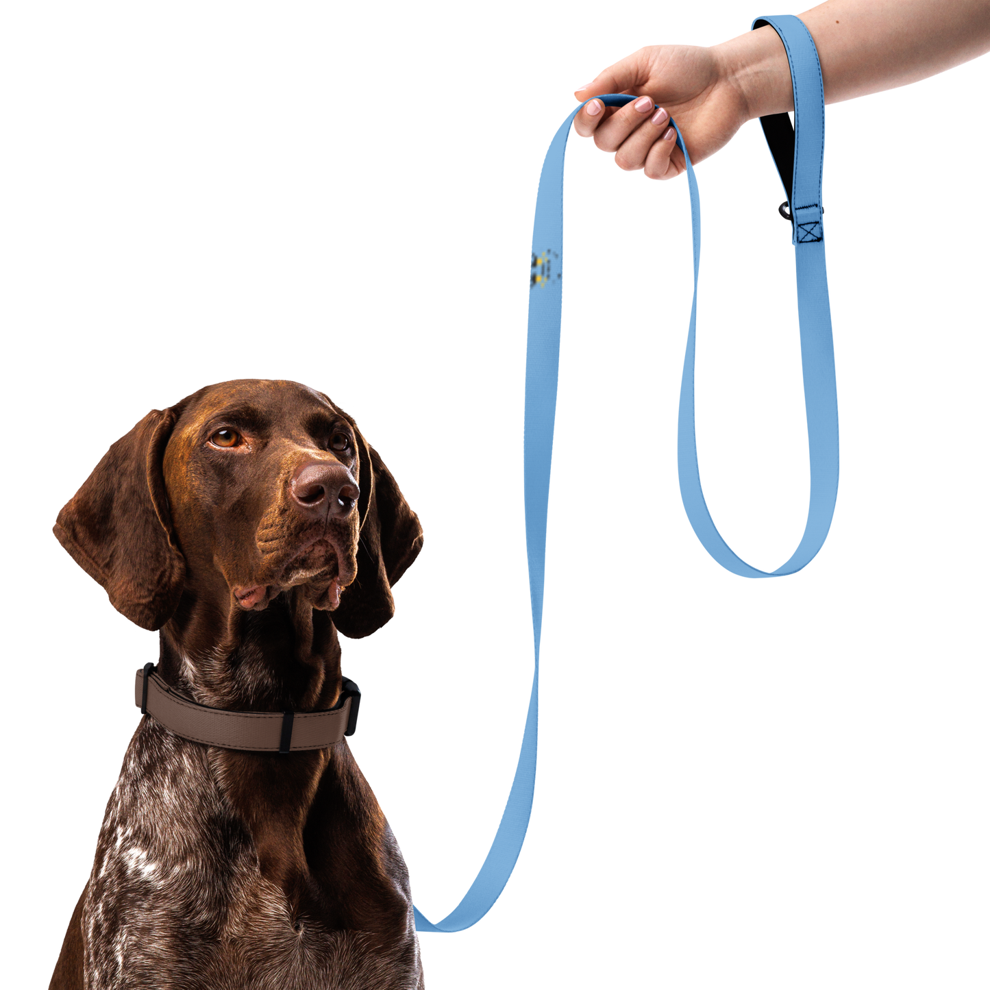 Playful Pet Leash (Spirit Blue)