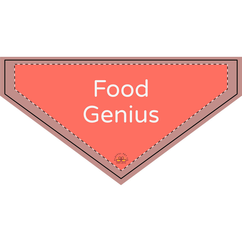 Playful Clip-on Pet Bandana "Food Genius"