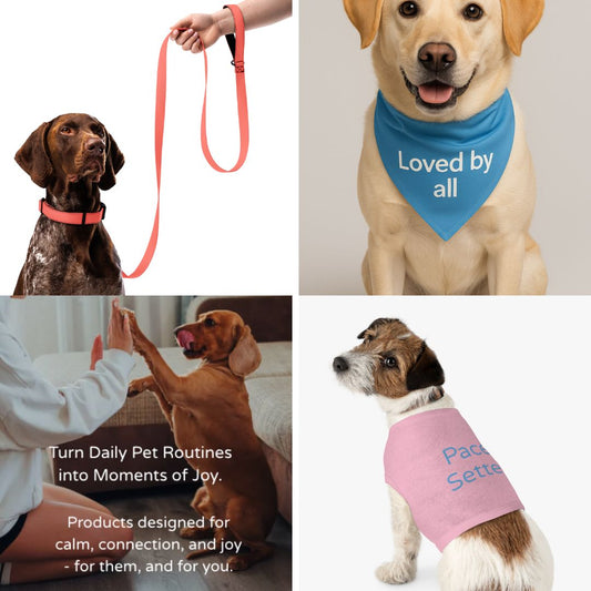 Out & About Trio - Collar + Leash, Tee & Bandana Bundle