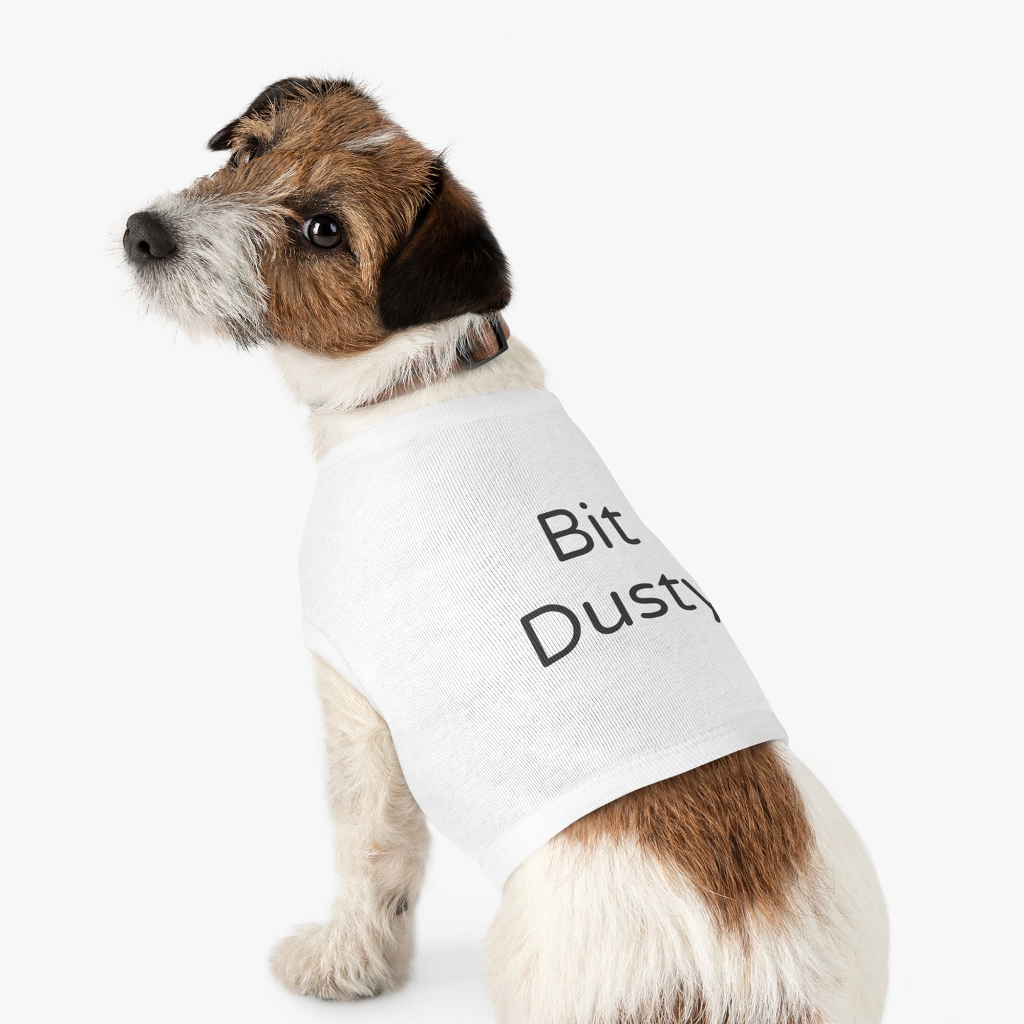 Playful Pet Tee "Bit Dusty"