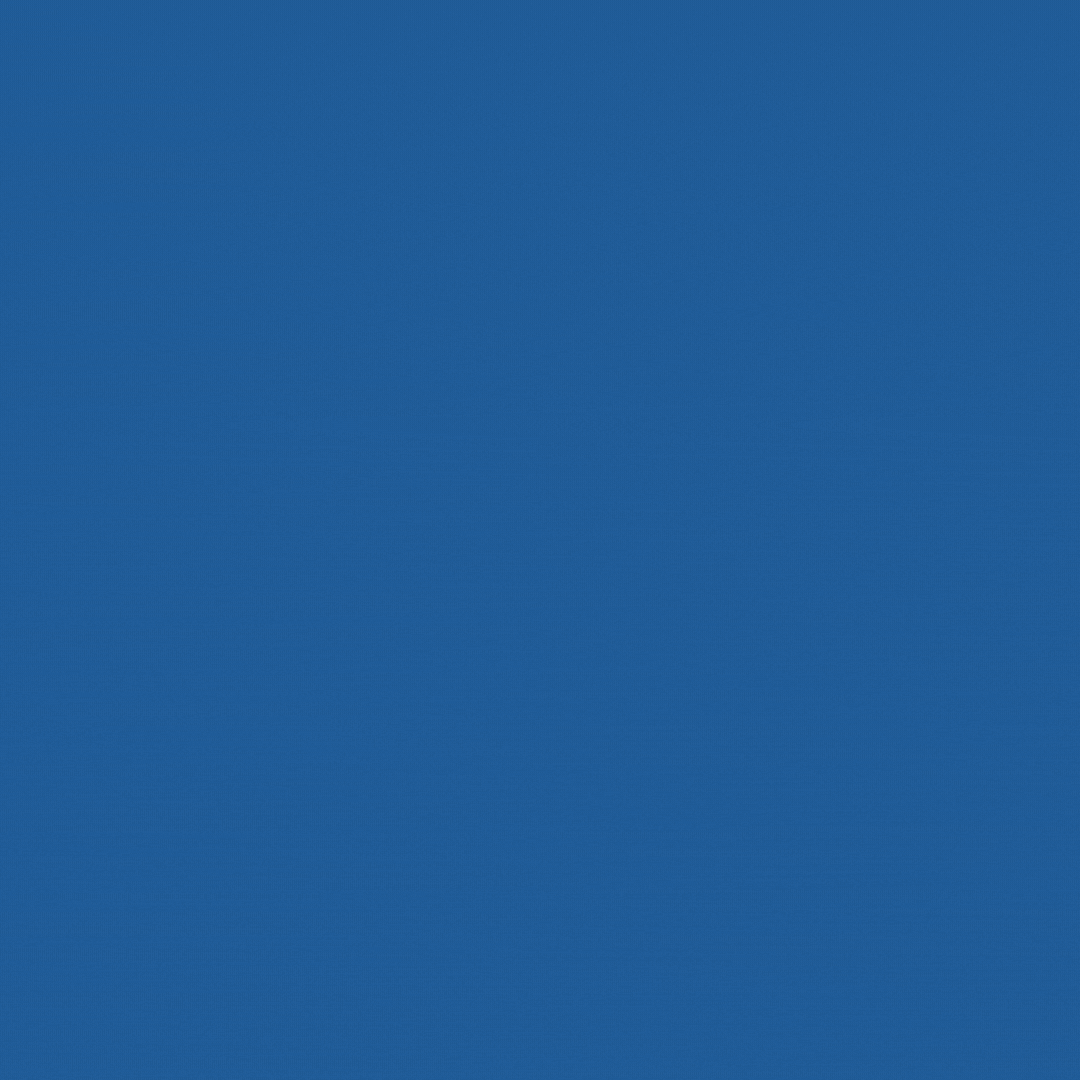 The Classic Mealtime Pair (32oz Bowls) - Bauhaus