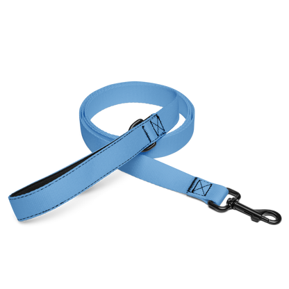 Playful Pet Leash (Spirit Blue)