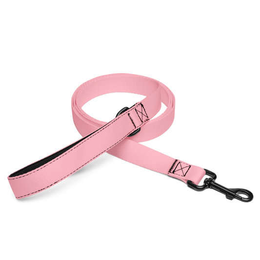 Playful Pet Leash (Playful Pink)